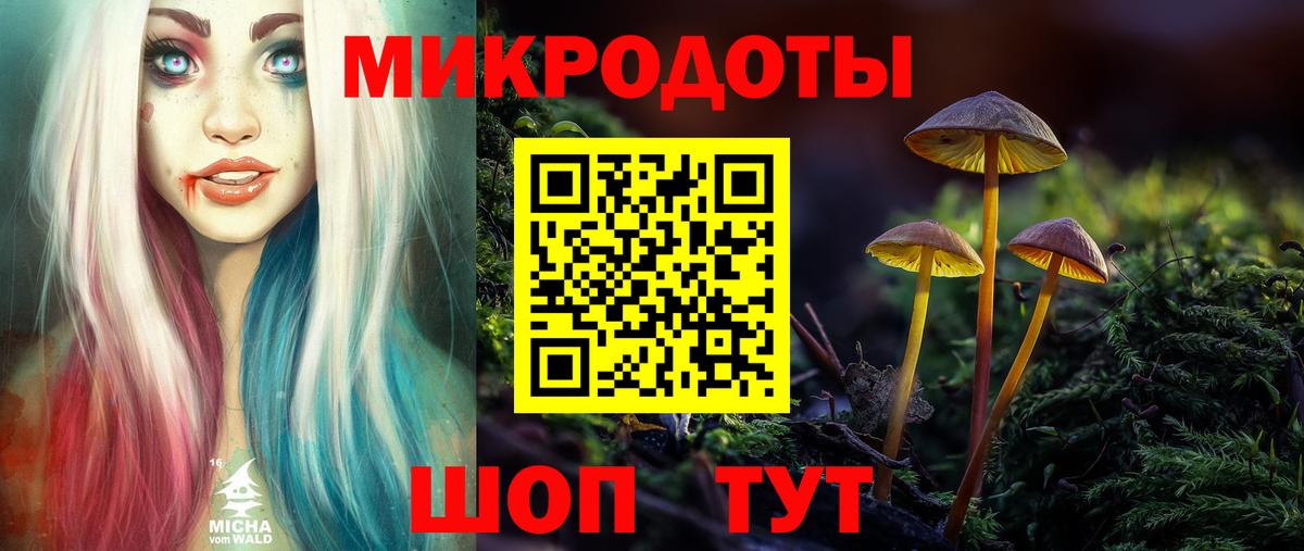 Галлюциногенные грибы Psilocybine cubensis Каменск-Уральский